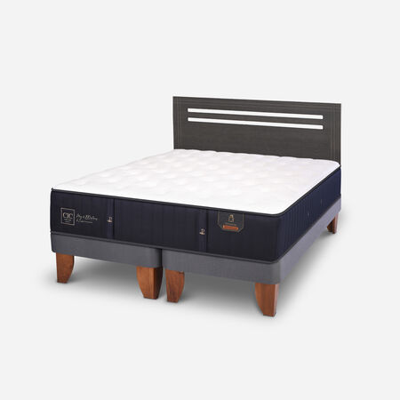 Cama Europea 2 Plazas Premium Base Dividida + Respaldo M&uacute;nich Gris
