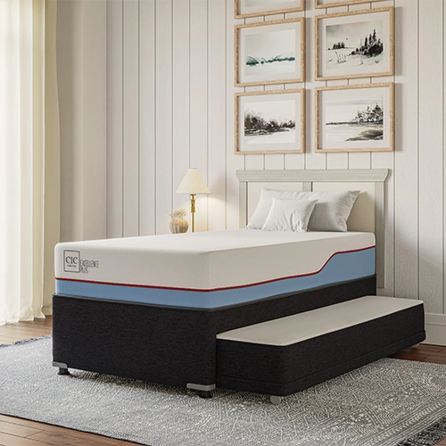 Categoría Cama Nido