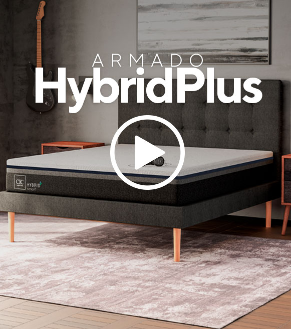 Hybrid Plus