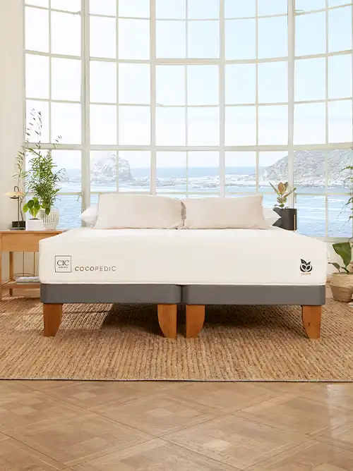 Cama Europea