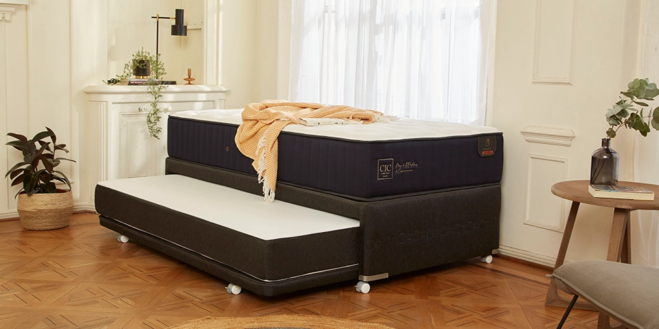 Colchon Topper Espuma 5 Zona 1.5 ortopedica Confort Dormir Respaldo Nuevo