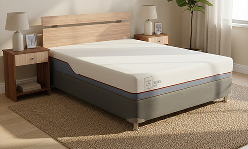 Categoría Cama Americana 2 Plazas