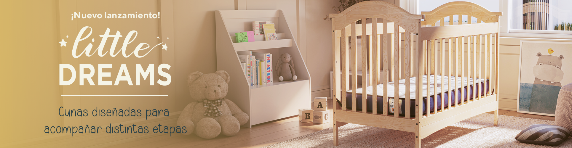 Lanzamiento Cunas CIC