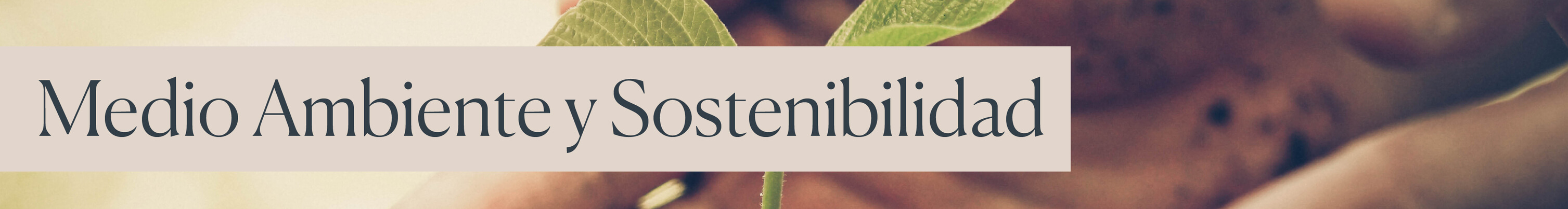 Categoría Medio Ambiente