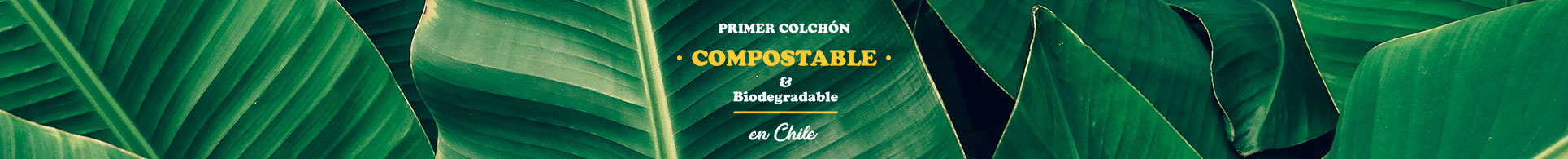 Colchón Compostable Cocopedic CIC