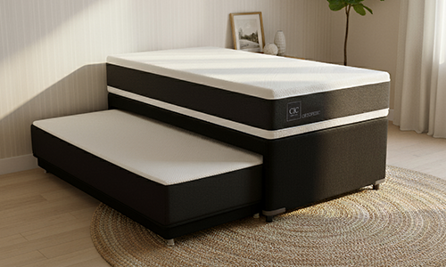 Categoría Ortopedic