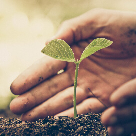Medio ambiente y sostenibilidad