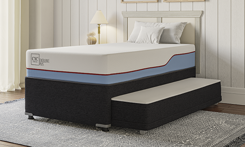 Categoría Excellence Plus